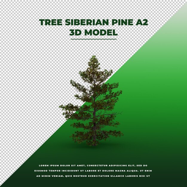 PSD modelo isolado 3d siberiano do pinheiro da árvore