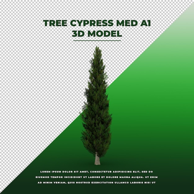 PSD modelo isolado tree cypress med 3d