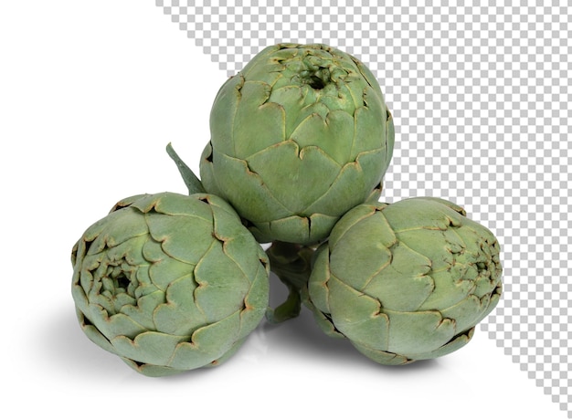 Modelo de PSD de alcachofas frescas