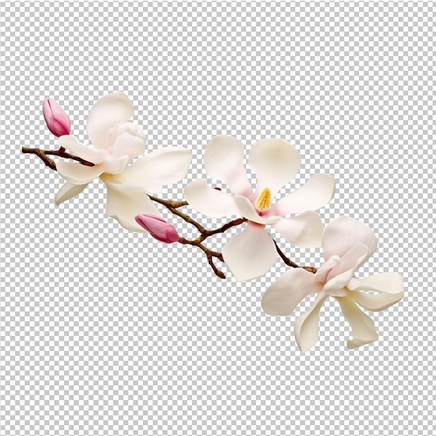 Modelo de publicidad de flores de primavera y verano