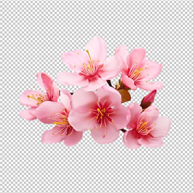 Modelo de publicidad de flores de primavera y verano