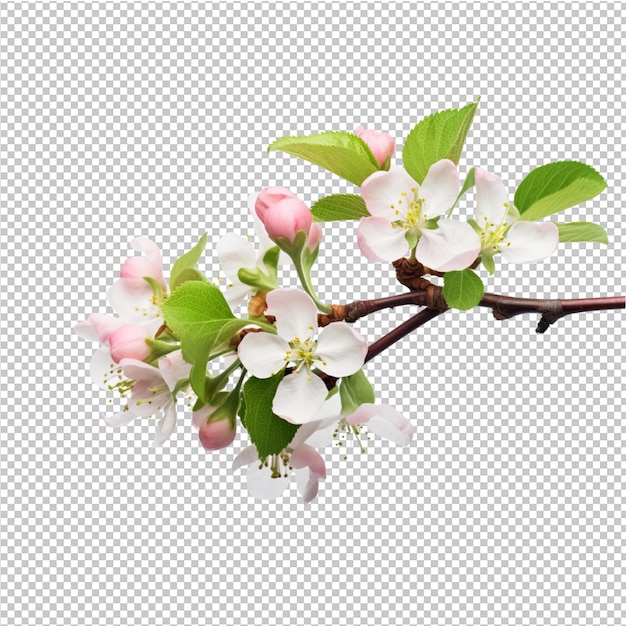 Modelo de publicidad de flores de primavera y verano