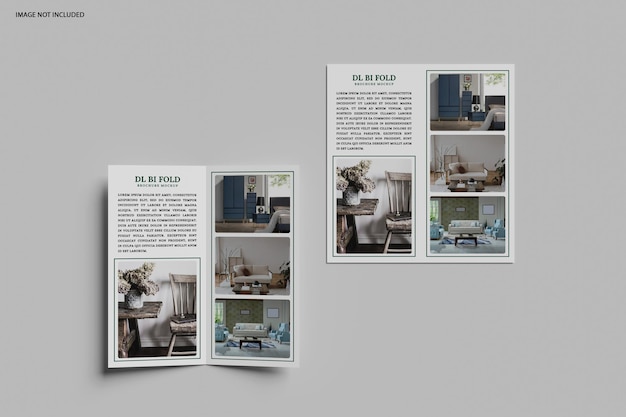 Modelo realista del folleto bifold de la DL