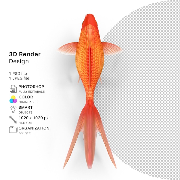 PSD modelo renderizado em 3d de peixe dourado de tanque de aquário