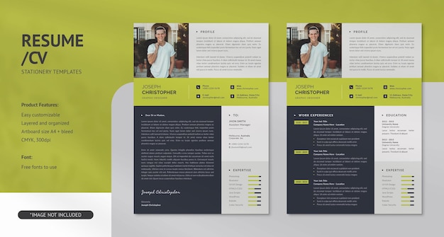 Modelos de PSD de Currículo Currículo Moderno