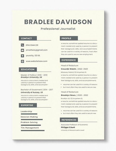 Moderno modelo de currículum profesional PSD de color gris minimalista