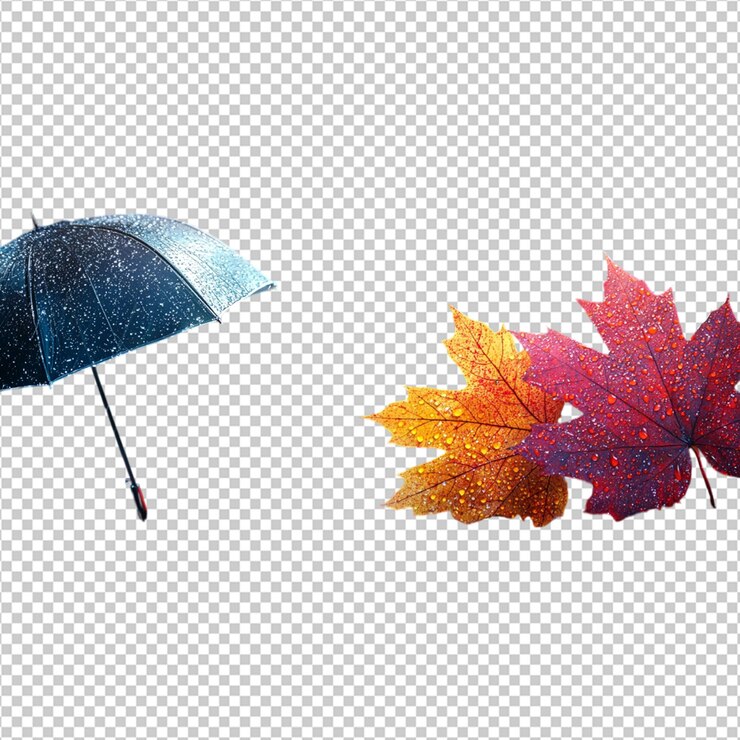 PSD le mois national des parapluies