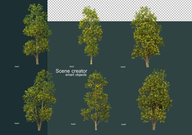 Molte specie di alberi e arbusti