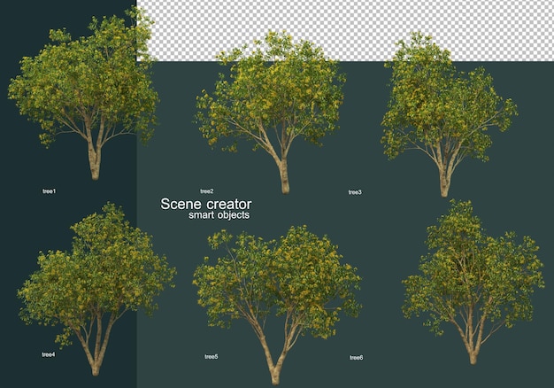 Molte specie di alberi e arbusti
