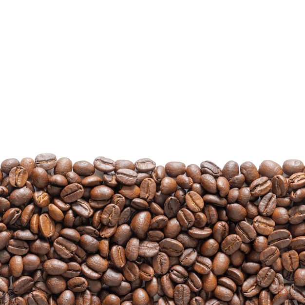 Molti chicchi di caffè arrostiti su uno sfondo bianco I chicci di caffè bordano l'area per lo spazio di copia