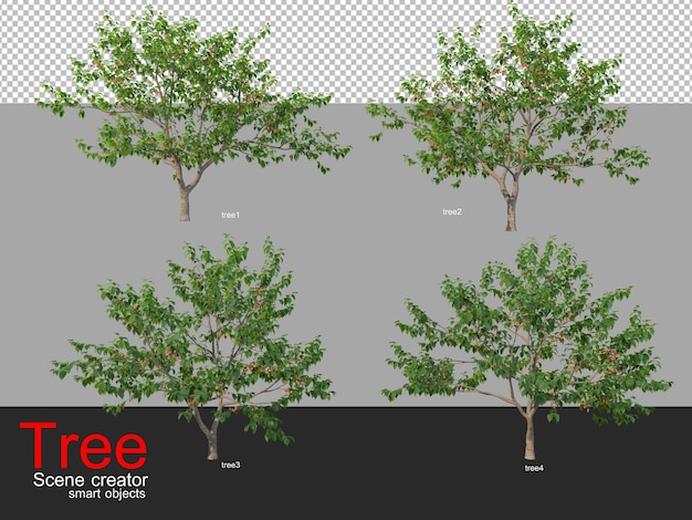 Molti diversi tipi di alberi