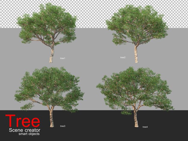 Molti diversi tipi di alberi