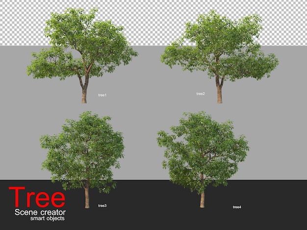 Molti diversi tipi di alberi