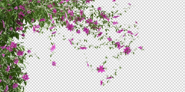 Molti tipi di fiori colorati