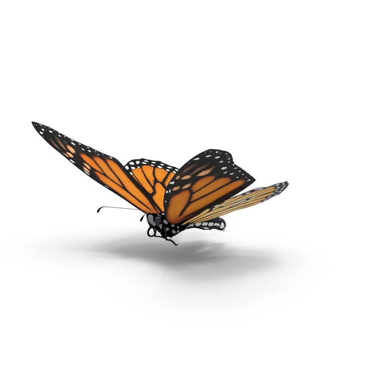PSD monarch-schmetterling im flug