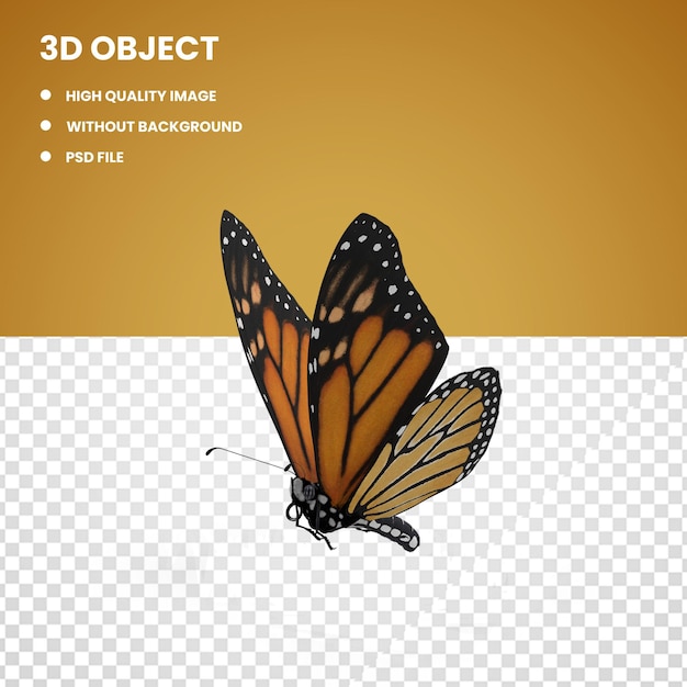 Monarch Schmetterling1