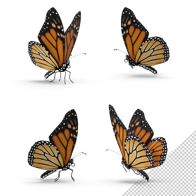 Monarch-Schmetterling