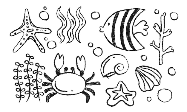 Mondo sottomarino Creature marine disegnate a mano