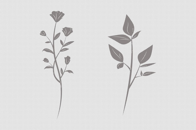 PSD monochrome blumenillustrationen zur dekoration