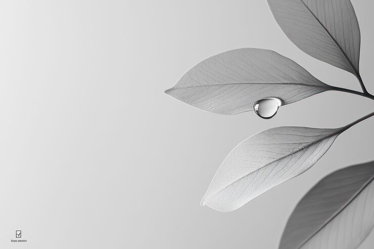 Monochrome closeup of a water droplet on delicate leaves against a light grey background