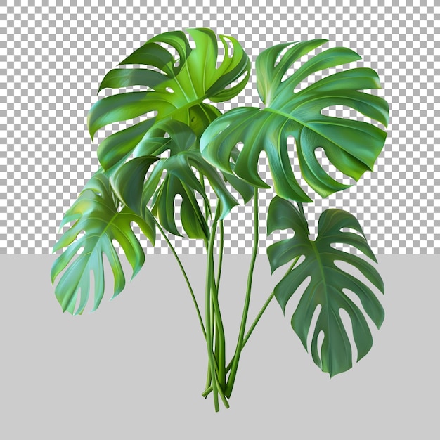 PSD monstera leaves em fundo transparente ai gerado