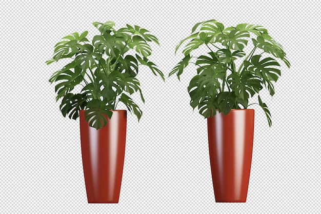 Monstera en maceta roja en renderizado 3d