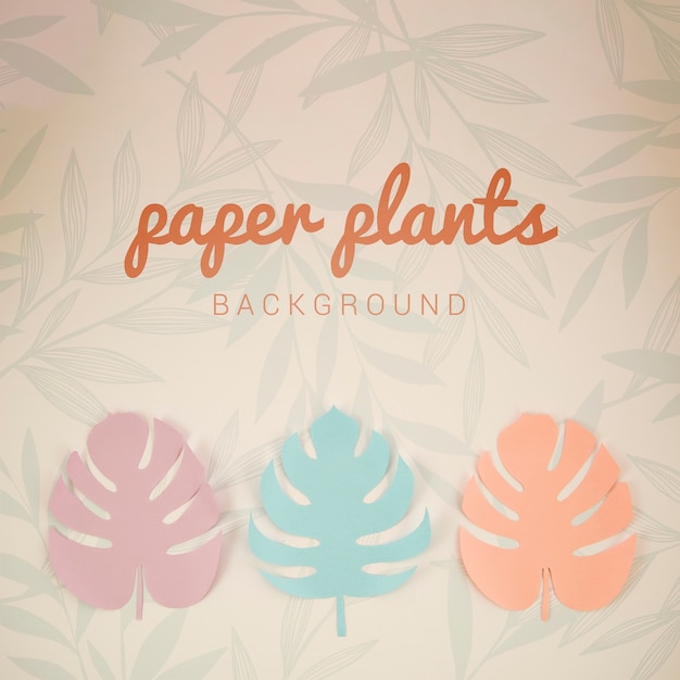 Monstera papel plantas fundo vista superior