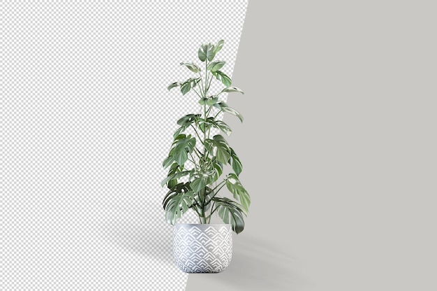 Monstera pflanze im topf im 3d-rendering-modell