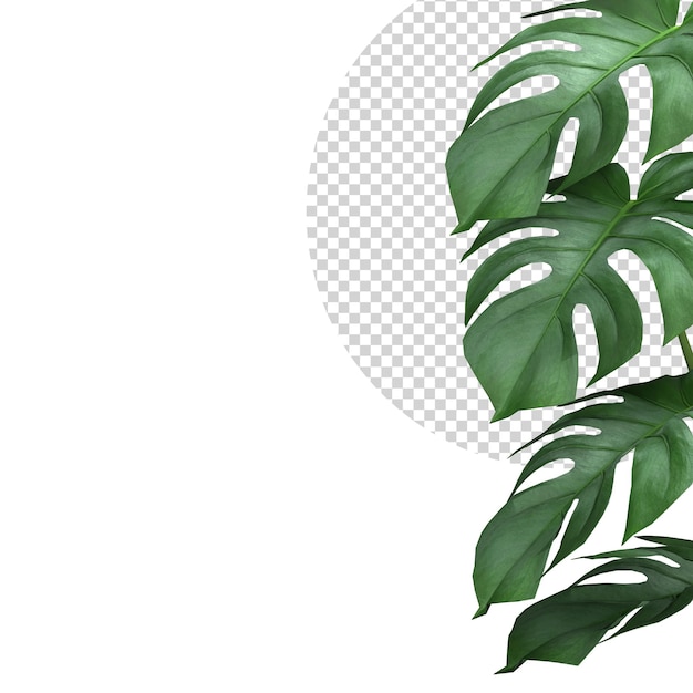 PSD monstera tropical deixa o modelo de maquete de fundo da natureza da folhagem da planta renderização em 3d