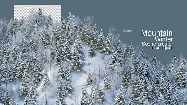montagne con pini in inverno