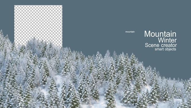 montagne con pini in inverno
