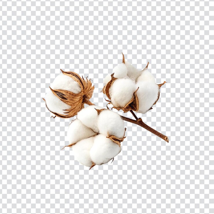 un montón de algodón en un fondo transparente