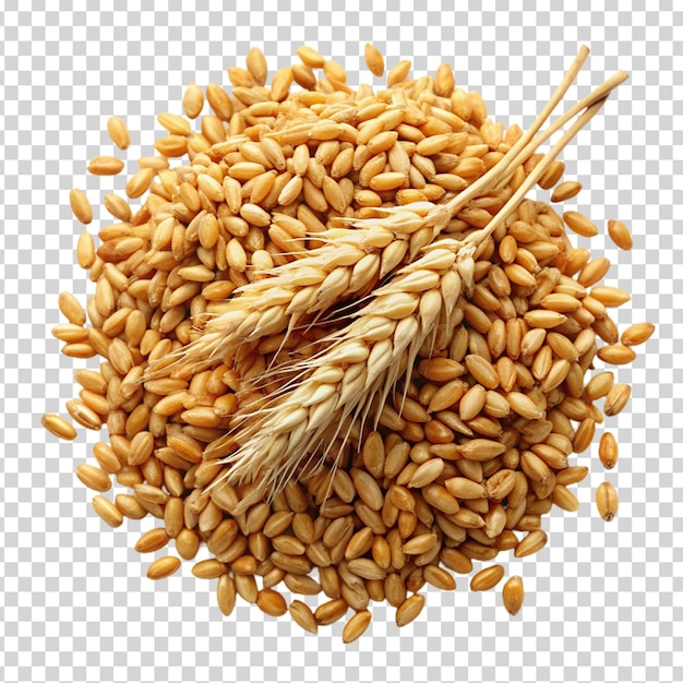 PSD un montón de granos de trigo en un fondo transparente