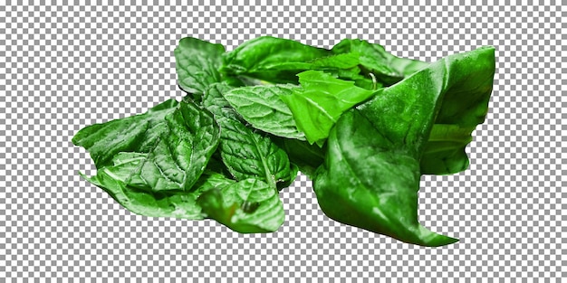 Un montón de hojas de albahaca sobre un fondo transparente.