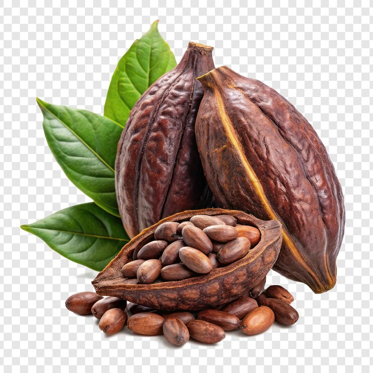 PSD un montón de nueces y una bolsa de nueces