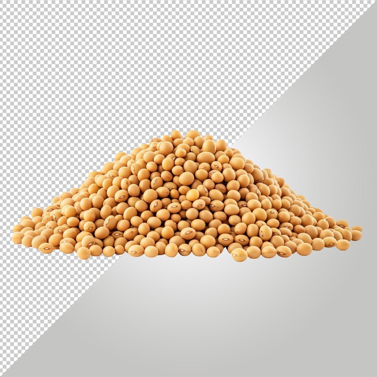 PSD un montón de soja seca ideal para ilustraciones agrícolas y nutricionales