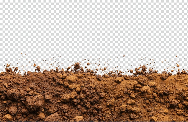 PSD montón de tierra vegetal aislado sobre fondo blanco o png transparente