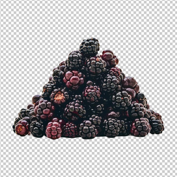 PSD las moras amontonadas aisladas