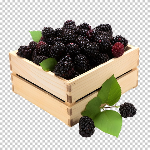 Moras en caja de madera aisladas sobre un fondo transparente