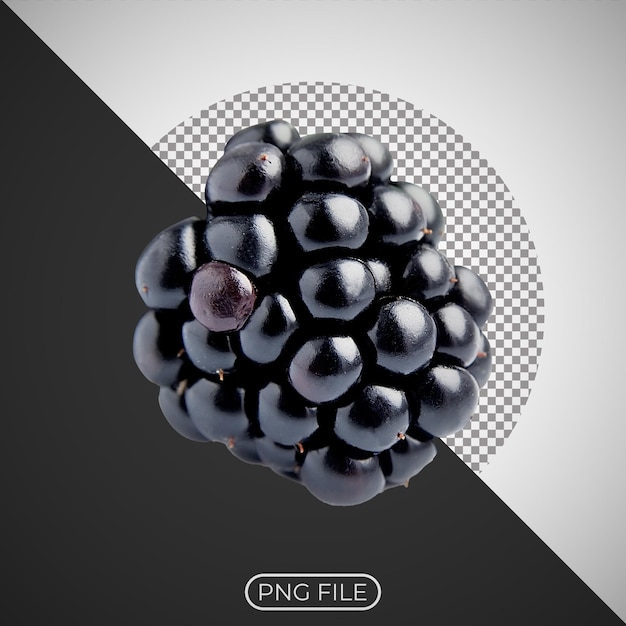 Moras dulces sobre el fondo blanco.