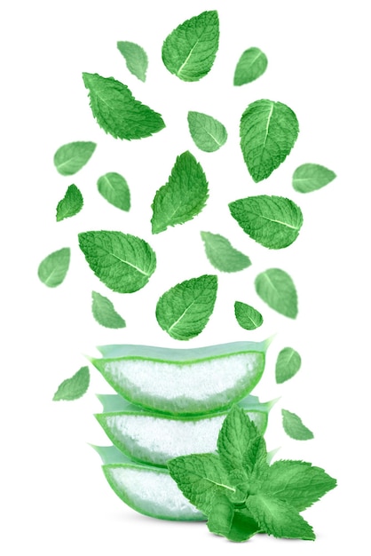 Morceaux d'aloe vera et lévitation de feuilles de menthe isolés sur fond blanc