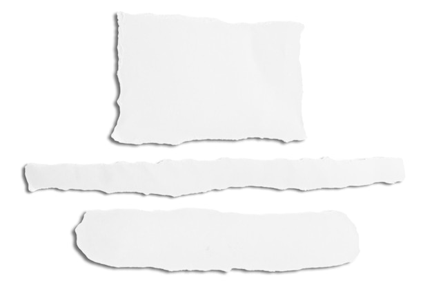 Des morceaux de papier blanc déchiré avec des bords déchiquetés sur un fond enchevêtré.