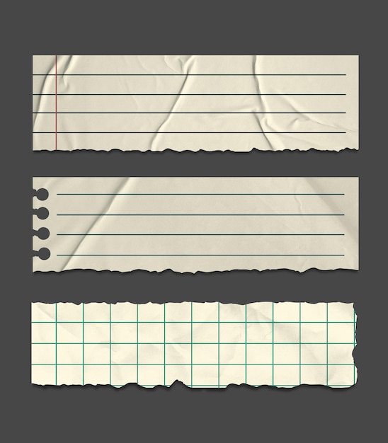 Des morceaux de papier déchirés avec des lignes et une grille