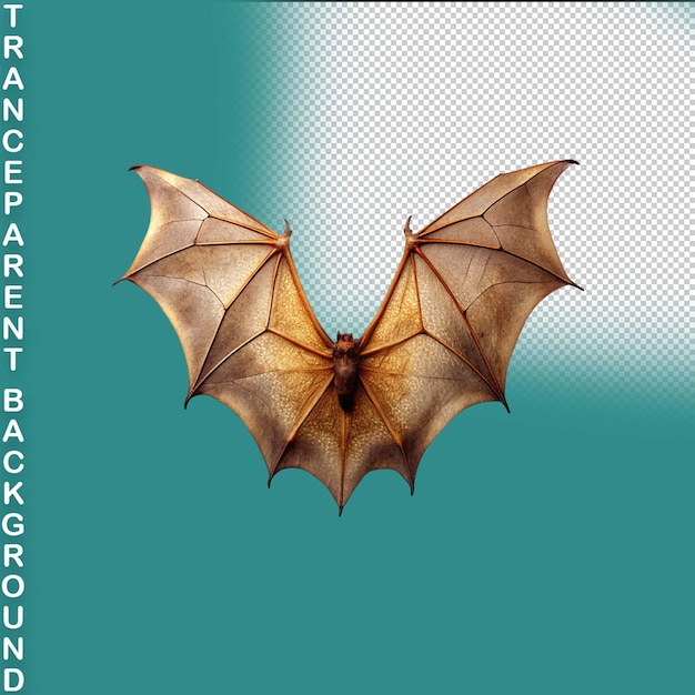 Morcego voador isolado em fundo transparente