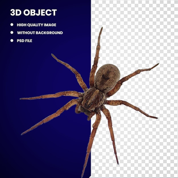 PSD mordida de aranha 3d nobre falsa viúva steatoda grossa aranha de jardim amarela