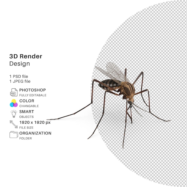 Mosquito Modelagem 3D Detalhada Design PSD de Alta Resolução