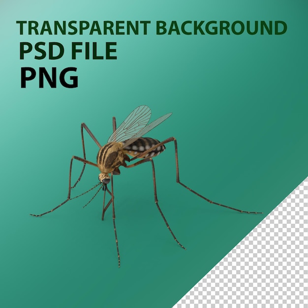 PSD mosquito png