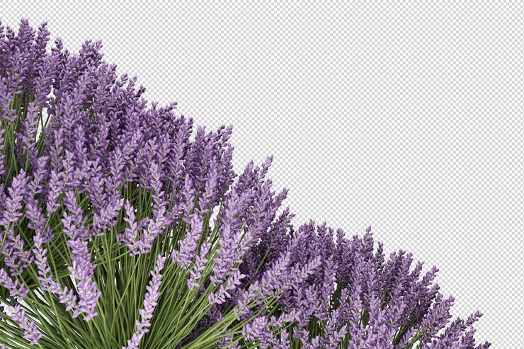 PSD muchos arbustos y plantas con flores en un pequeño jardín.