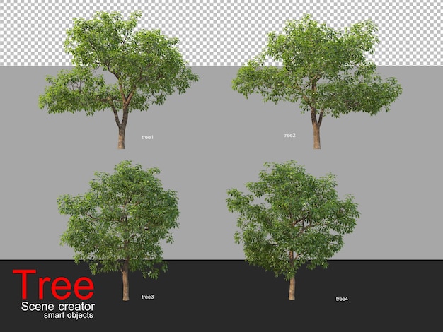 PSD muchos tipos diferentes de árboles.