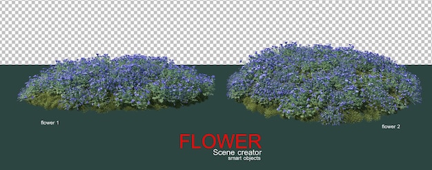 muchos tipos de flores de colores